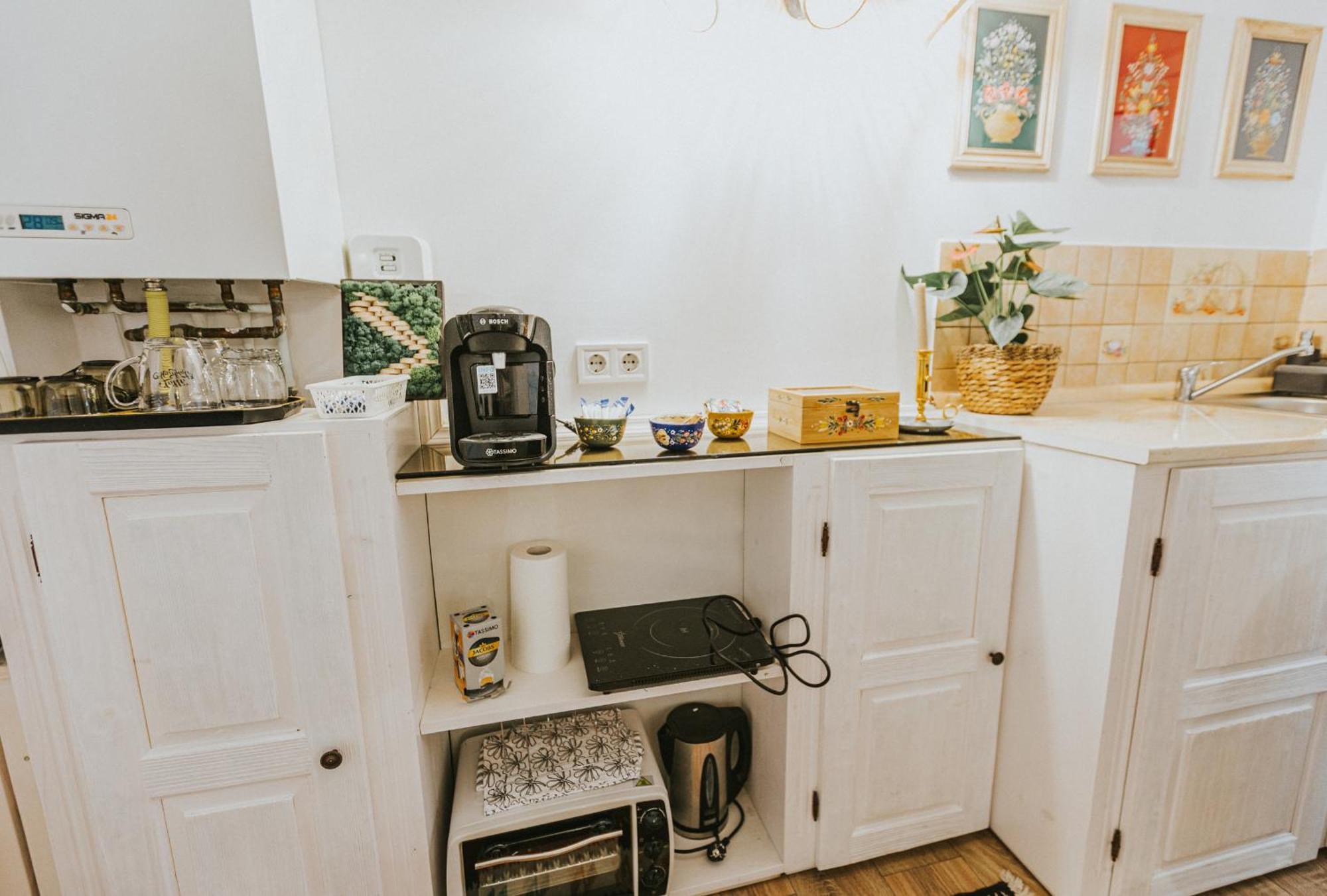 Republicii Rustic Apartament In Brasov City Center エクステリア 写真