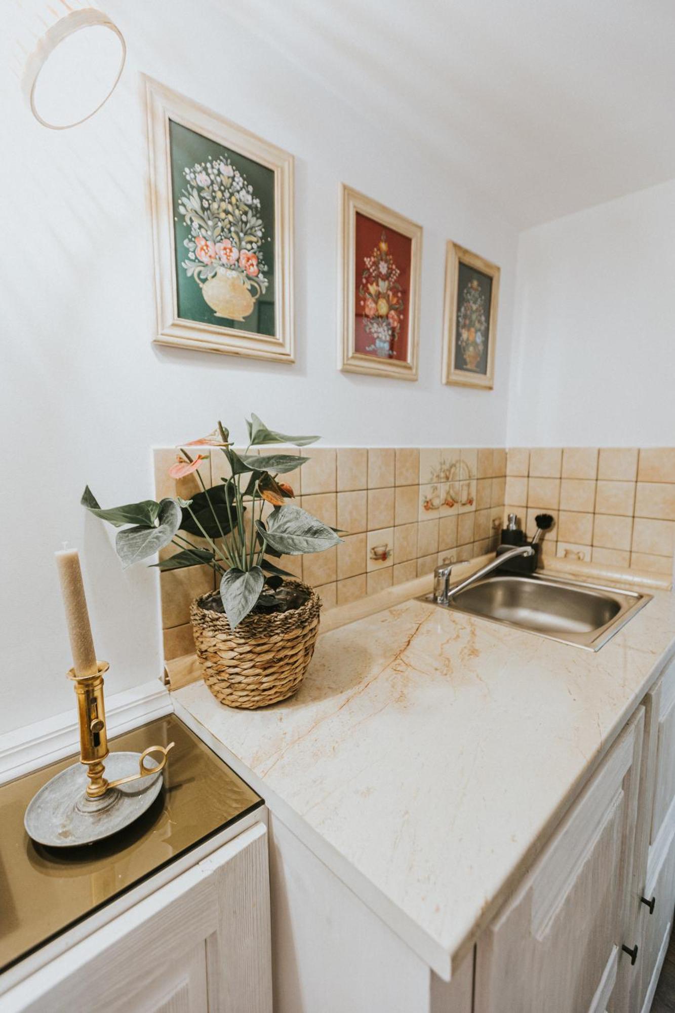 Republicii Rustic Apartament In Brasov City Center エクステリア 写真
