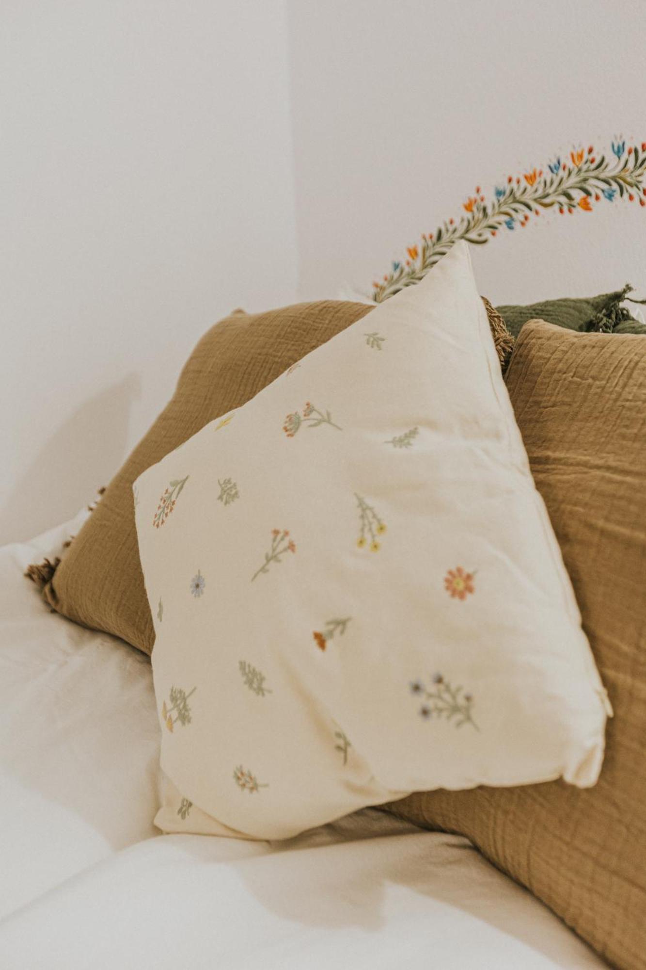 Republicii Rustic Apartament In Brasov City Center エクステリア 写真