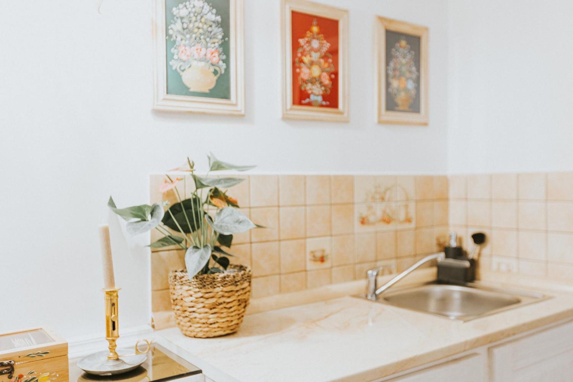 Republicii Rustic Apartament In Brasov City Center エクステリア 写真